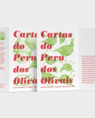 Cartas-do-peru-3